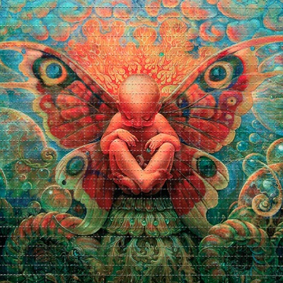 LSD Sheets - Image 2